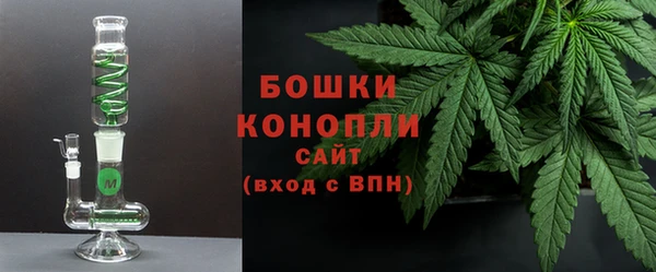 мдпв Горнозаводск