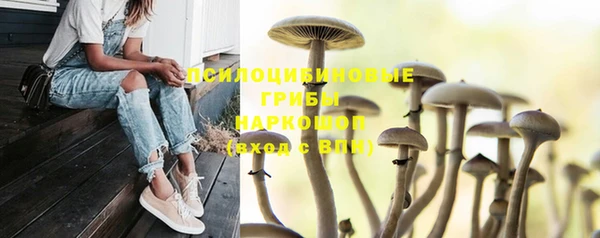 кристаллы Горняк
