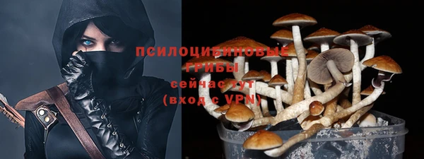 мдпв Горнозаводск