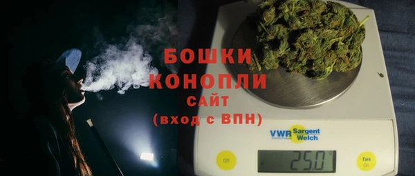 мдпв Горнозаводск
