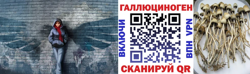 Галлюциногенные грибы мухоморы  Заполярный 
